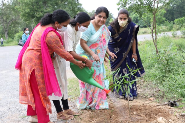 Tree plantation activity